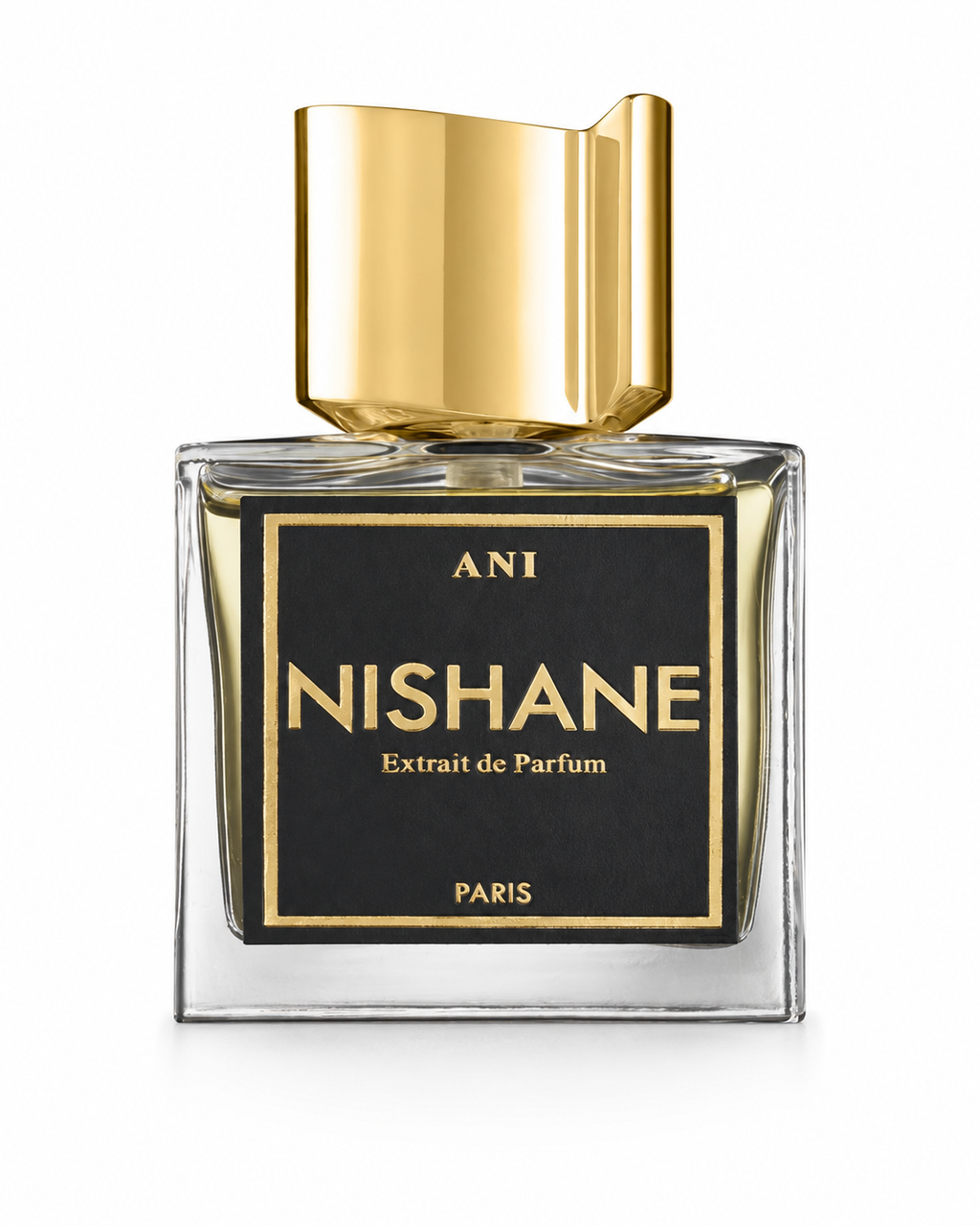 Nishane Ani EDP 100 ML