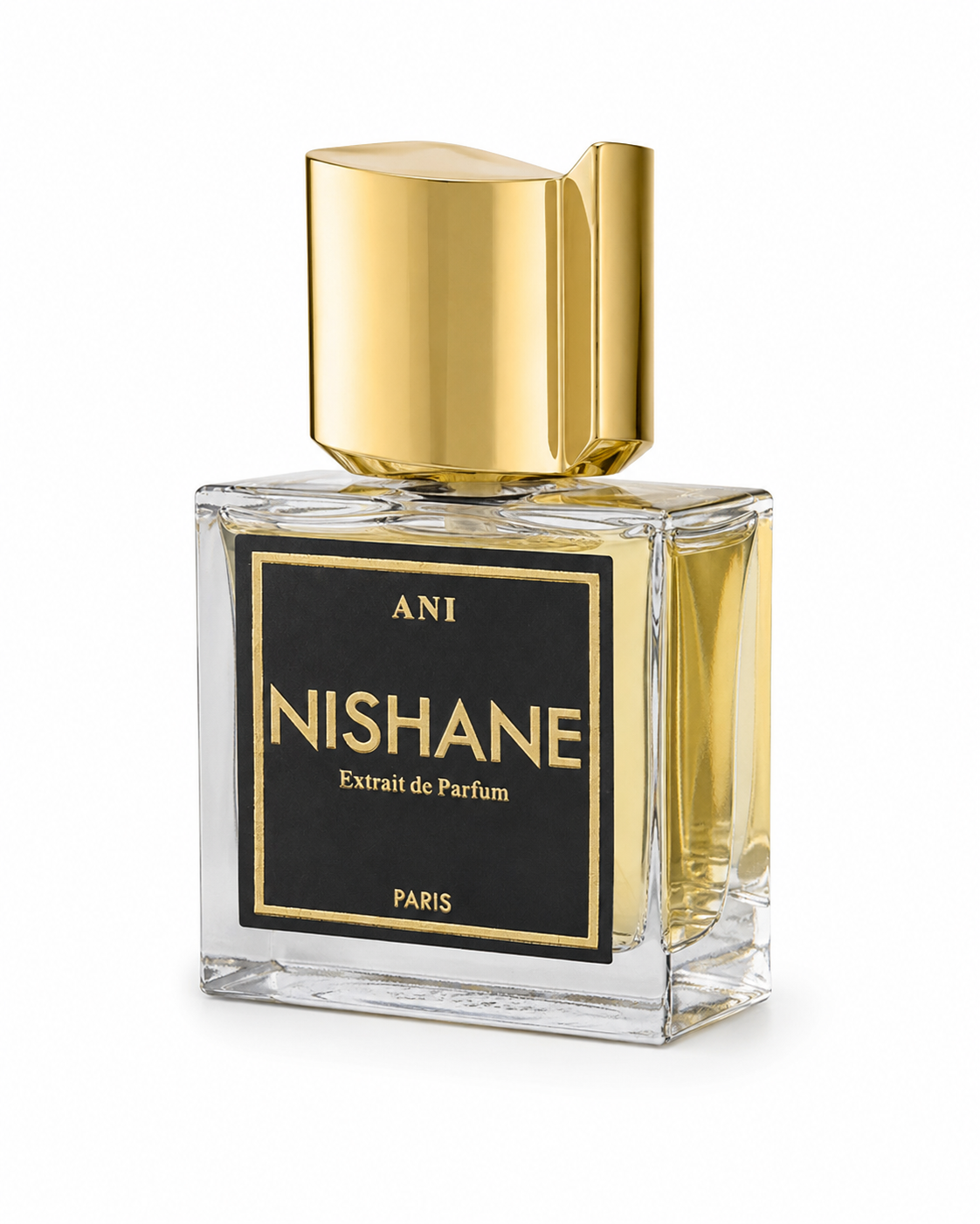 Nishane Ani EDP 100 ML