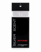 Silver Scent Intense 100 ML