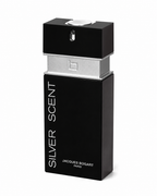 Silver Scent 100 ML