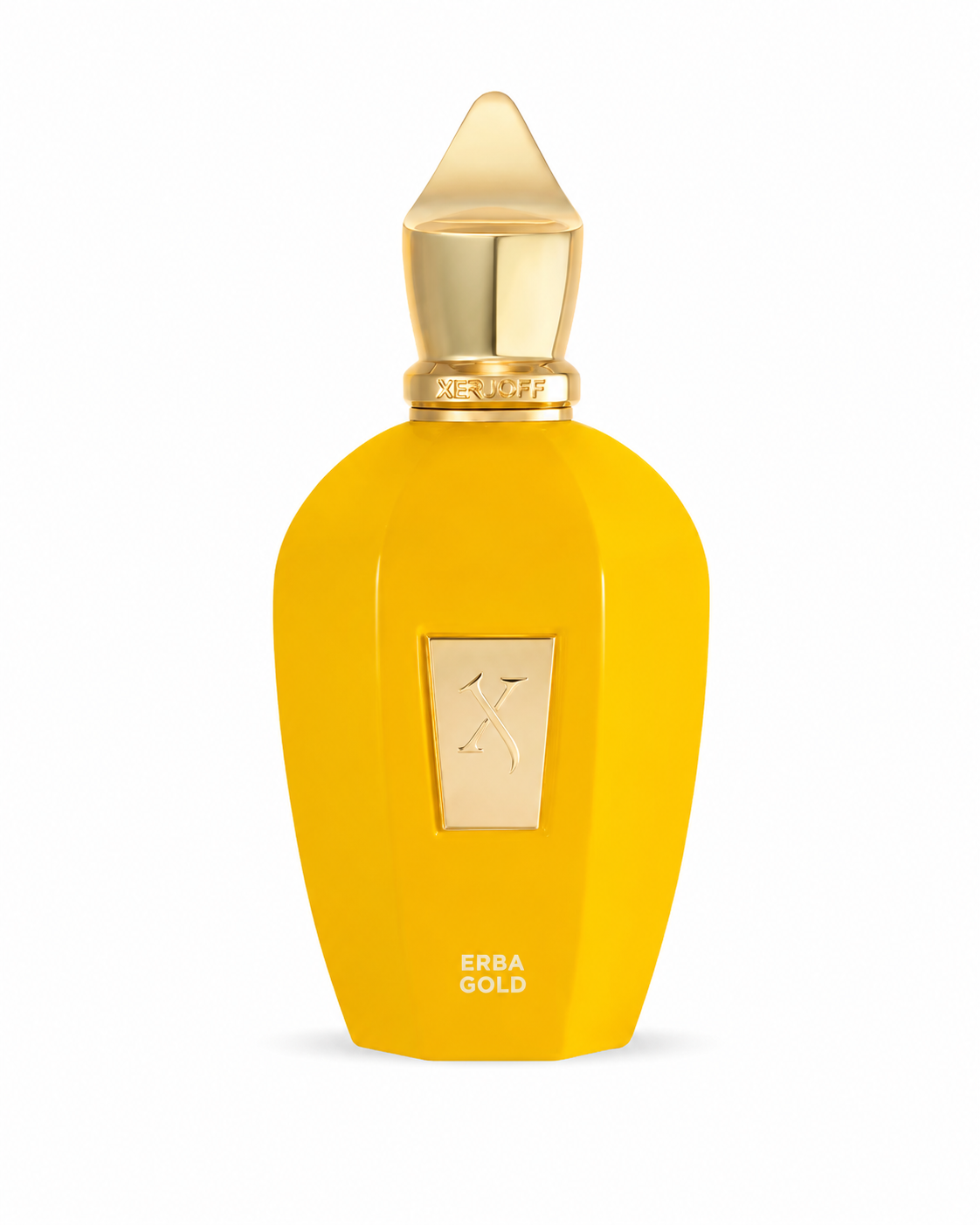ERBA PURA GOLD EDP 100 ML