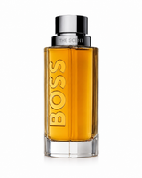 THE SCENT MASC EDT 100 ML